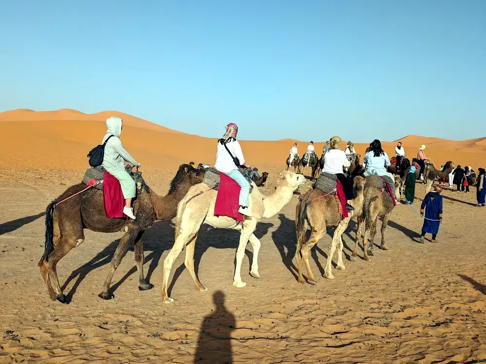 A camel caravan crossing the Erg Chebbi dunes