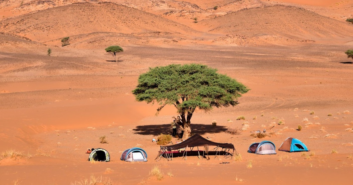 Desert Wild Camp